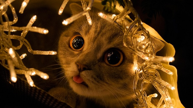 Планові відключення електроенергії